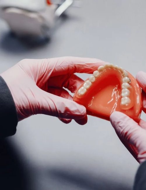 imgi 17 artificial jaw dentist s office 1157 19482 2880w